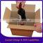 2014 Wholesale packaging carton / Customised packaging carton