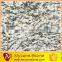 competitive tiger skin white granite outdoor paving tile flamed surface