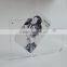 Transparent acrylic two sided photo / picture frames with magnets
