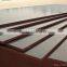 Shandong Combi Core Plywood/ Waterproof Exterior Plywood for Construction