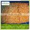 iqf/frozen apricot diced