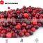 china good price for frozen lingonberry