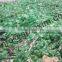 PET Bottle Flakes White & Green
