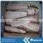 Whole sale china seafood exporter frozen hoki fillet