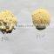 powder NON GMO Industrial grade Soya Lecithin series