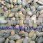 grown without shell pumpkin seeds Grade AA