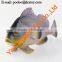 Plastic Sea Fish Toy,aquarium Fish