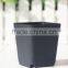 Black square pot for succulent plants