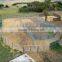 Australia super quality cheap steel galvanized cattle panels for sale