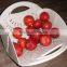 Factory Wholesale Kitchen Washing Flat Fold Draining Basket