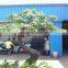 Artificial yacca trees for garden decoration