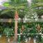 GNW APM034 Cheap Price Palm Tree Names for Christmas Decorations Use