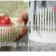 2017New design Fruit Vegetable Plastic Salad Slicer Cutter Salad Maker Bowl /plastic salad cutter bowl