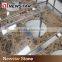 Newstar Dark Emperador China Wholesale Stone Tile Expensive Marble
