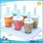 Plastic ice mold DIY ice pop maker