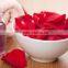Rose absolute oil