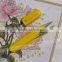 Scissors for Cross Stitch