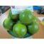 FRESH LIME