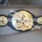 world championship belt