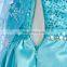 cosplay costume in frozen elsa dress FGCC-1003