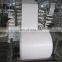 China supplier exporter white raffia polypropylene woven fabric