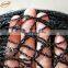 Hot Sale Plastic Netting Manufacturer Hdpe Woven Fruit Tree Protection Net/Vineyard Bird Netting for Sale