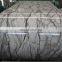 prepainted galvanized steel coil / color coated steel coil / PPGL