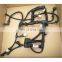 QSB6.7 Engine wire harness 4939039