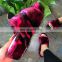 2020 new  fur shoes Multicolor women fur slides  Fluffy fashion fox fur pom poms slippers flat pump shoes winter sandals