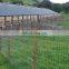 XINHAI heavy duty Hot dipped galvanized sheep/cattle/goat/horse yard panels livestock panel
