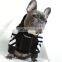 2021 New Wholesale Luxury Designer Outfits Supplies Apparel Pet Dress Dog Clothes