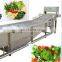 Vegetable Tomato and Fruit Vortex Washing Machine Vegetable Processing Line Machine