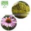 Super Food Bulk Echinacea Herb powder