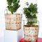 New Design Retro Bamboo Planter Baskets Decorative Woven Indoor Storage Basket Cheap wholesale Handwoven Made in Vietnam