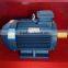 YE3/IE3 high efficiency premium electric motor
