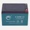 E-Bike battery 6-DZM-12  12V12AH