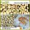 Broad bean kernel skin removing machine/Wet way soybean peeling machine