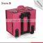 2016 Guangzhou Factory Professional Make Up Cosmetic Beautiful Trolley Case