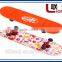 Printed Pet Transfer Film for Skateboard