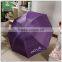 Advertising logo printed manual open custom outdoor sun umbrella,gift umbrella                        
                                                Quality Choice