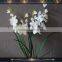 real touch artificial flowers artificial orchid