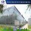 Low cost multi-span PC sheet/board greenhouse for vegetable/flower growth