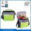 Portable fashion new style cooler bag with handle