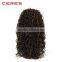100 real hair wigs kinky curly black women wigs, china factory kinky wigs