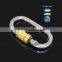 Wholesale Metal Carabiner Dog Leash Snap Hook