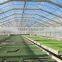 frp plastic sheet greenhouse cover