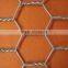 Chicks Netting, hexagonal mesh fence, galvanized or pvc coated mesh, twisted mesh