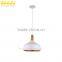 Industrial Light Ceiling Rose Pendant Lamp