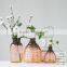 Eco-Friendly Feature and Bees Pest Type glass bee catcher