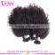 100% Virgin Brazilian Afro Kinky Hair Extensions Grade 7a Brazilian Afro Human Hair